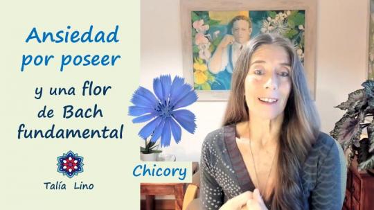 Flores de Bach y Ansiedad por Poseer.