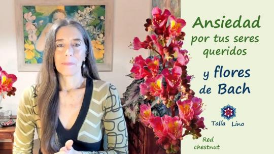 Flores de Bach y ansiedad por tus seres queridos.