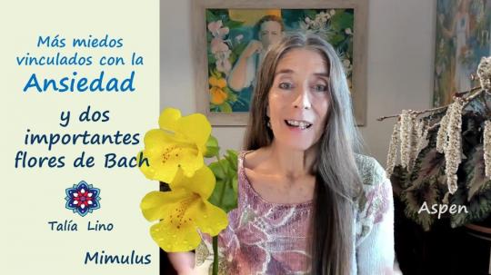 ANSIEDAD, MIEDOS Y FLORES DE BACH.