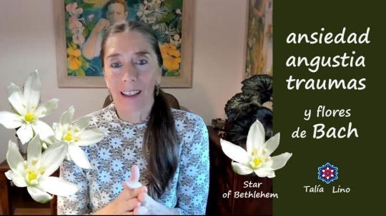 ANSIEDAD y STAR OF BETHLEHEM.