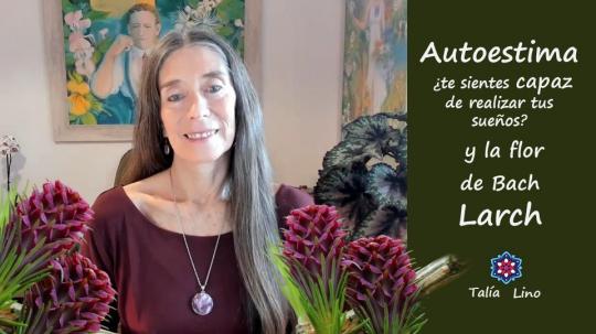 AUTOESTIMA Y LA FLOR DE BACH LARCH.