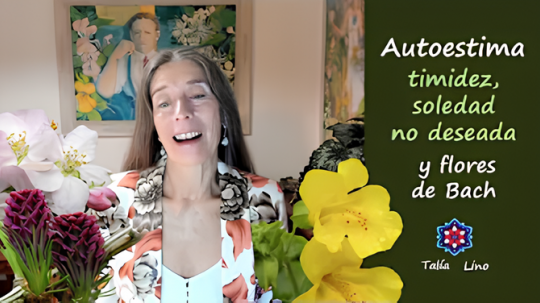 AUTOESTIMA, TIMIDEZ Y SOLEDAD NO DESEADA (Mimulus-Crab apple-Larch).