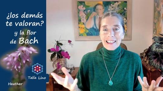FALTA DE RECONOCIMIENTO y la flor de Bach HEATHER.