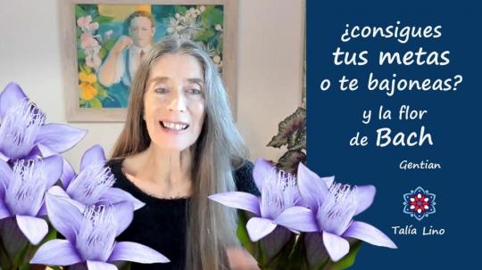 ¿CONSIGUES TUS METAS O TE BAJONEAS?.