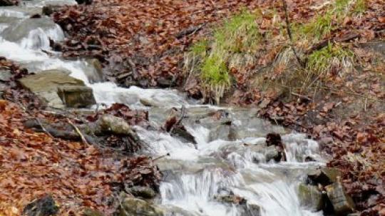 Rock water (Agua de roca).