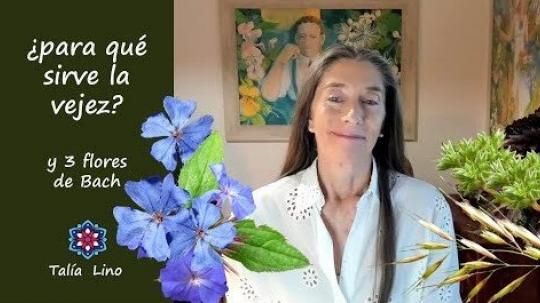 ¿PARA QUÉ SIRVE LA VEJEZ? y 3 FLORES DE BACH.