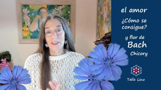 EL AMOR ¿Cómo se consigue?.