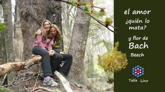 EL AMOR  ¿Quién lo mata?.