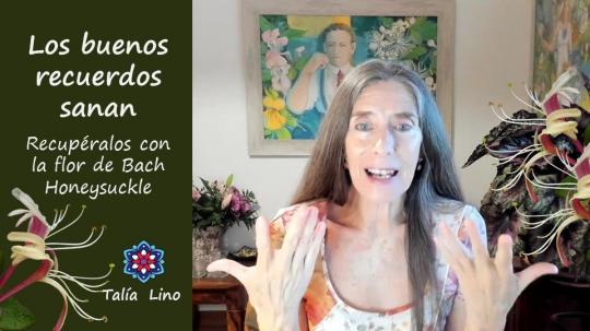 Recupera tus Buenos Recuerdos.