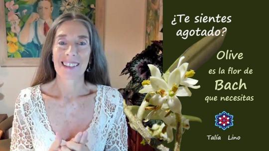 TE SIENTES AGATADO/A.