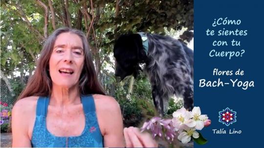 ¿CÓMO TE SIENTES CON TU CUERPO?.