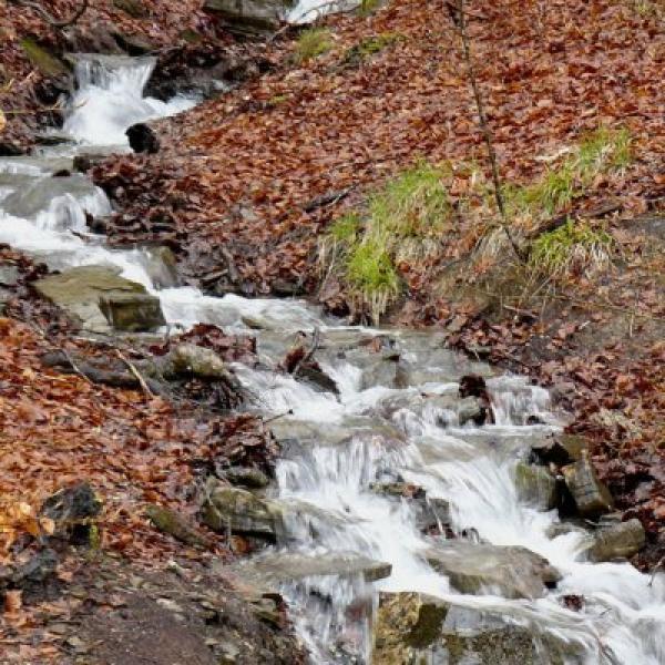 Rock Water (Agua de roca)